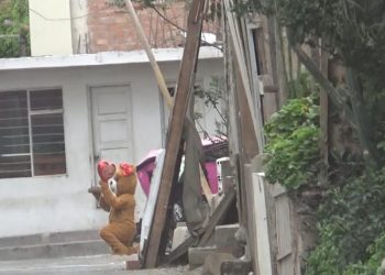 Suspeito de tráfico é preso por policial fantasiado de ursinho