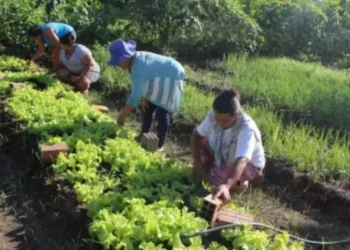 Vem aí o “Desenrola Campo” 2024