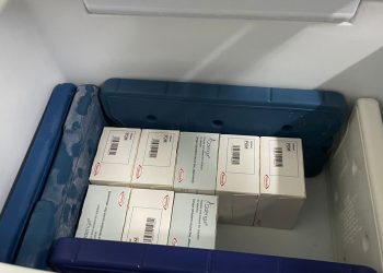 Vacinação contra dengue em Barra de São Francisco