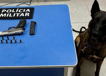 PM apreende arma de fogo em São Mateus