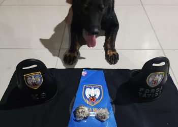 Força Tática faz apreensão de drogas no bairro Colina