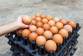São 30 ovos por 10 reais: Por onde anda o caminhão do ovo que fazia a alegria do povo?