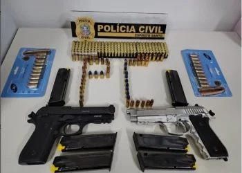 Munições e arma de fogo são apreendidas em Mantenópolis pela Polícia Civil