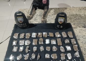 Cadela Athena e Força Tatica apreendem drogas no bairro Vila Landinha
