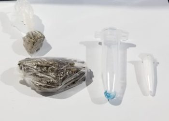 Recuperação em Barra de São Francisco de veículo furtado e apreensão de droga em Águia Branca