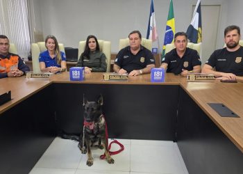 concluida investigação de latrocínio de motorista em Fundão