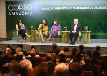 Plano para implementar mercado de carbono sai em julho, anuncia Fazenda