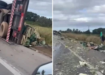 Pássaro causa acidente em Linhares