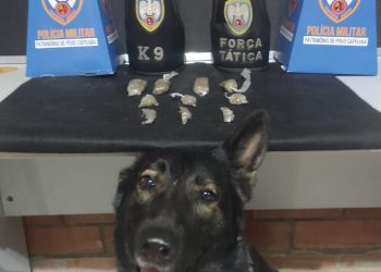 Ação com Cão Farejador: Polícia Militar Apreende Drogas em Barra de São Francisco e Mantenópolis