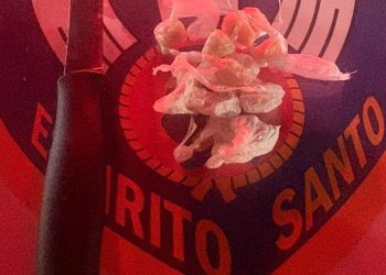 Polícia Militar apreende drogas durante ações em Barra de São Francisco e Águia Branca
