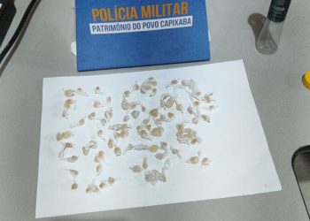 Ações de Combate ao Tráfico de Drogas em Barra de São Francisco: Um Exemplo da Dedicação da Polícia Militar