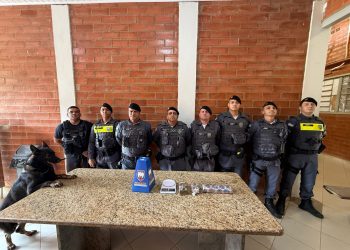 PM apreende quase 2 kg de maconha em quintal de idosa em Barra de São Francisco