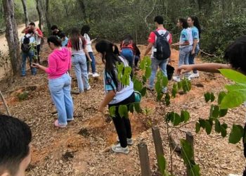 Barra de São Francisco planta o futuro com mais de 15 mil mudas distribuídas