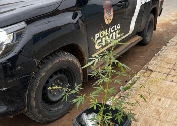 Operação conjunta prende dois suspeitos de tráfico em Ecoporanga