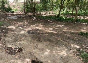 Prefeitura já iniciou limpeza no “Granito” para receber os banhistas