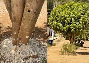 Prefeitura de Barra de São Francisco repudia vandalismo em área pública e alerta para punições