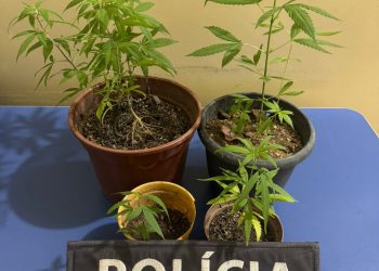 Operação do 11º BPM desarticula ponto de tráfico em Águia Branca