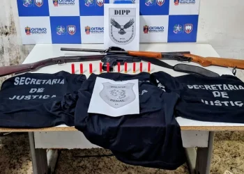 Mulher é presa por fingir ser policial penal no Noroeste do ES