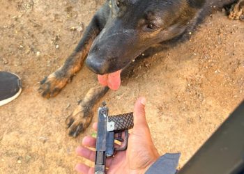 Adolescente é apreendido com arma após denúncia em Barra de São Francisco