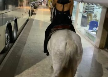 Absurdo em plena luz do dia em Barra de São Francisco