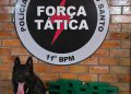 Força Tática e K9 desarticulam esconderijo de drogas em Água Doce do Norte