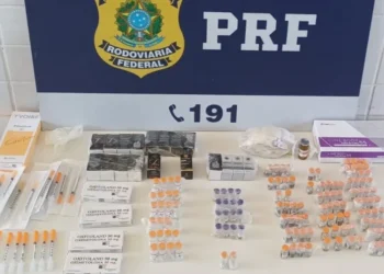 Casal é preso na BR-101 com R$ 20 mil em medicamentos ilegais trazidos do Paraguai