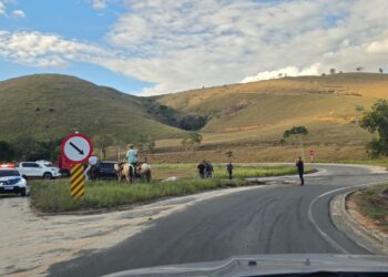 Caminhão que transportava gado tomba no “Trevo” próximo da Vila Luciene