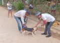 Barra de São Francisco vacina mais de 47 mil animais(Fati e cachorro) de 2021 a 2926