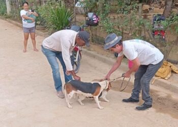 Barra de São Francisco vacina mais de 47 mil animais(Fati e cachorro) de 2021 a 2926