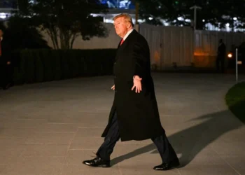 Trump surpreende com anúncio de “cessar-fogo energético” entre Rússia e Ucrânia; entenda