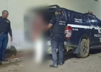 Suspeito de matar mulher a pauladas em Mantenópolis já cumpria pena por matar idosa